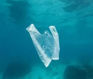 隨著疫情限製措施的放鬆，廢塑料熱解項目重新啟（qǐ）動