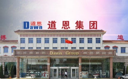 躍升19名！從中國石（shí）化企業（yè）500強榜單看“道恩力量”