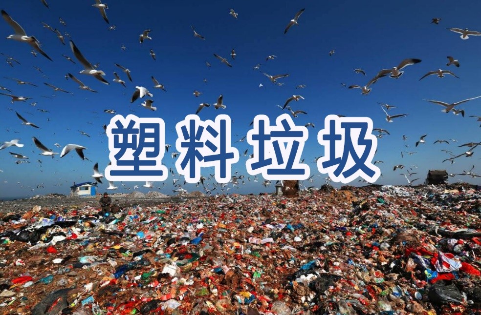 美報（bào）告：美國是全球最大塑料（liào）垃圾製造者  提出解決塑料垃圾問題（tí）的建議