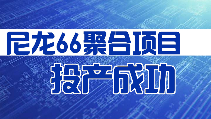 新力（lì）新材“尼龍66聚合項目（mù）”正式（shì）投產成功