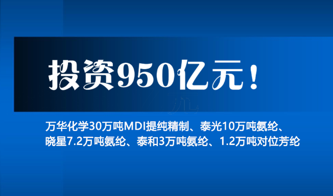 2022年寧東謀（móu）劃建設“七個百（bǎi）億（yì）元”重（chóng）大項目 總投資達到950億元