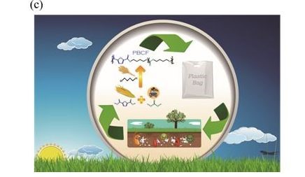 西南將建造大型聚乳酸改性新材（cái）料及製品生產基地