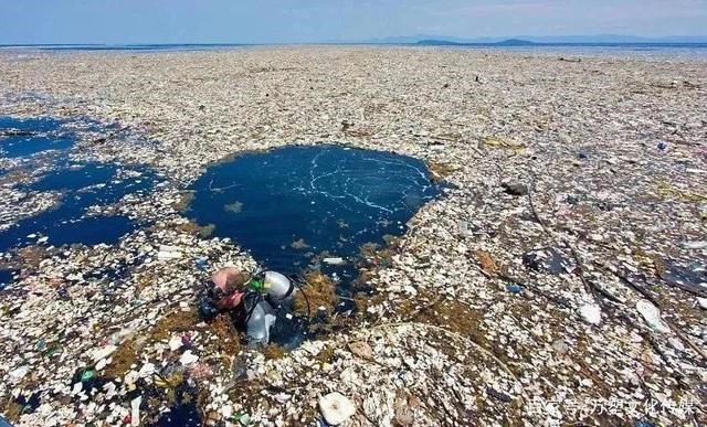 可降解PLA口罩和包裝成（chéng）熱門