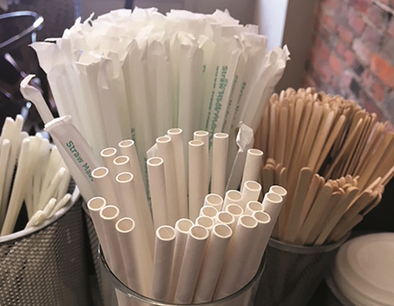 加拿大（dà）對一次性塑料（liào）禁令采取行動，限製回收（shōu）符號的使（shǐ）用